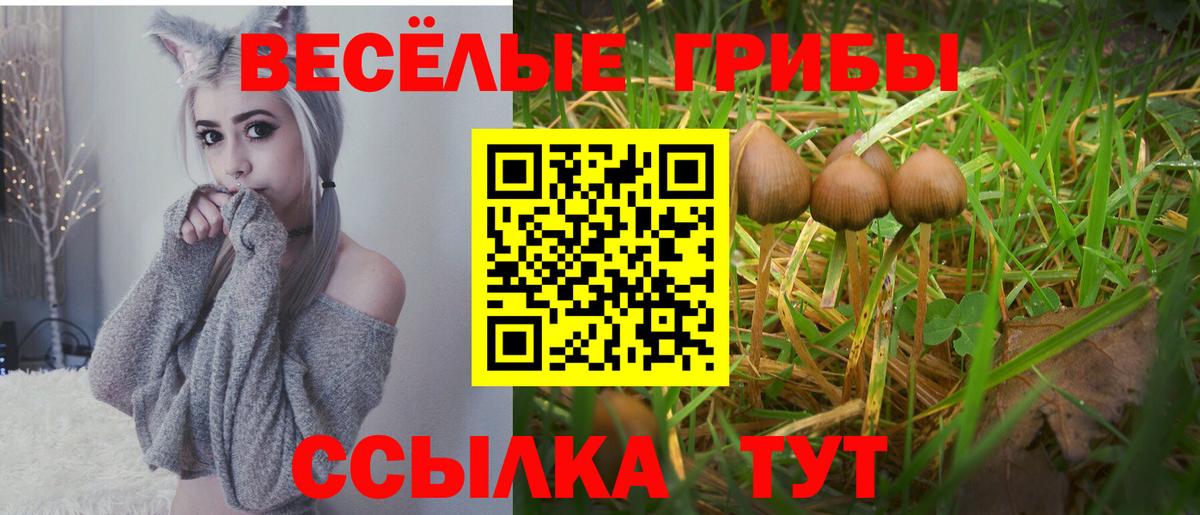 Псилоцибиновые грибы GOLDEN TEACHER Владивосток
