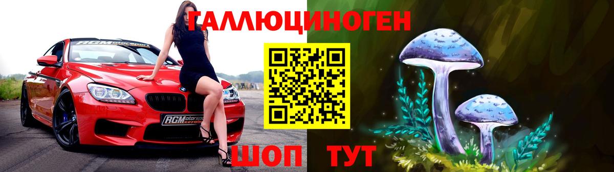 Псилоцибиновые грибы MAGIC MUSHROOMS  Вход с VPN  Владивосток 